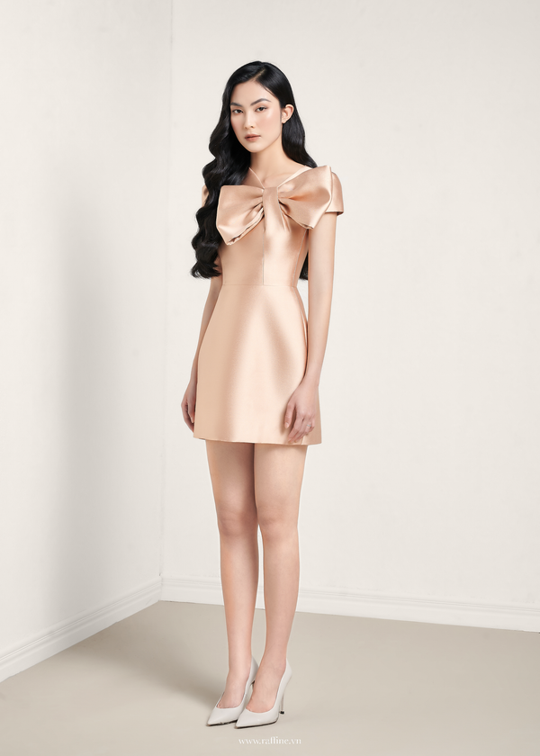 LARME MINI DRESS